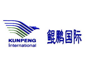 萬(wàn)里鯤鵬 北京國(guó)際商務(wù)咨詢(xún)領(lǐng)域的領(lǐng)航者與信息橋梁